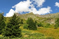 IMG_0034