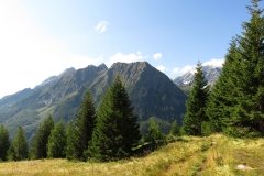 IMG_0036