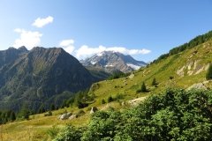 IMG_0040
