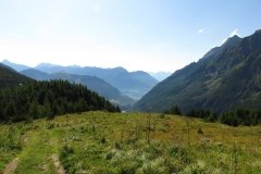 IMG_0041