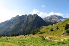 IMG_0046
