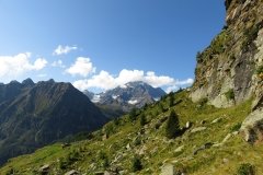 IMG_0052