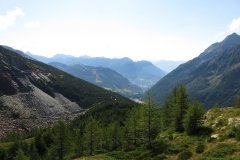 IMG_0062