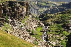 IMG_0066