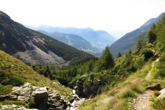 IMG_0081