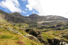 IMG_0090