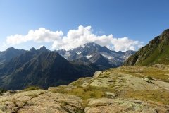IMG_0101