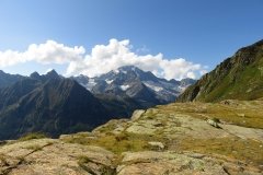 IMG_0102