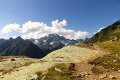 IMG_0116