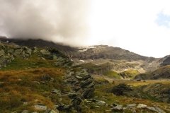 IMG_0130