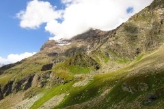 IMG_0136