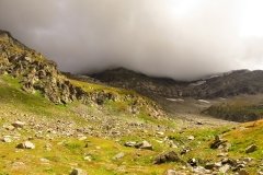 IMG_0154