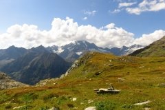 IMG_0160