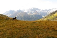 IMG_0164