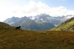 IMG_0165