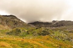 IMG_0175