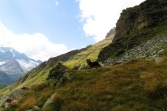 IMG_0179