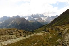IMG_0205