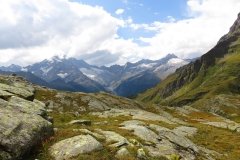 IMG_0234