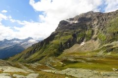 IMG_0240