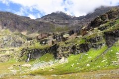 IMG_0243