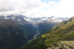 IMG_0247