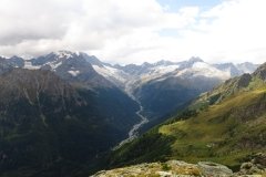 IMG_0255