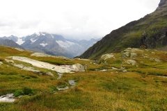 IMG_0294