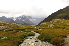 IMG_0306