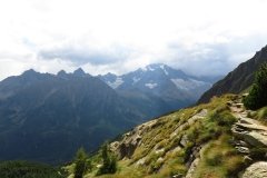 IMG_0311