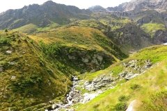 IMG_0326