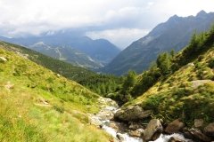 IMG_0342