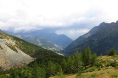 IMG_0344