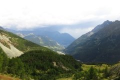 IMG_0348