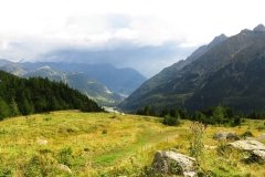 IMG_0350