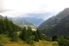 IMG_0353