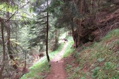 IMG_0361
