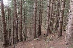 IMG_0366