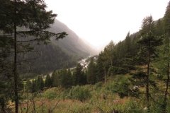 IMG_0369