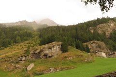 IMG_0370