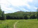 IMG_0075