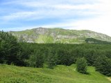 IMG_0077