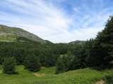 IMG_0080