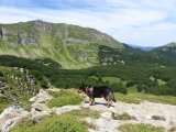 IMG_0082