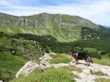IMG_0084