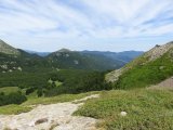 IMG_0087