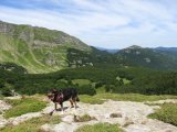 IMG_0088
