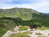IMG_0090
