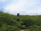 IMG_0098