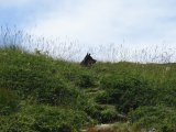 IMG_0099